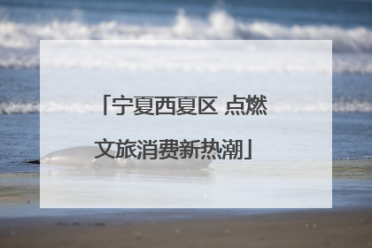 宁夏西夏区 点燃文旅消费新热潮