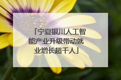 宁夏银川人工智能产业升级带动就业增长超千人