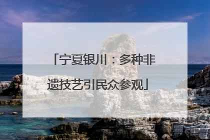 宁夏银川：多种非遗技艺引民众参观