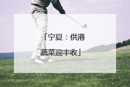 宁夏：供港蔬菜迎丰收