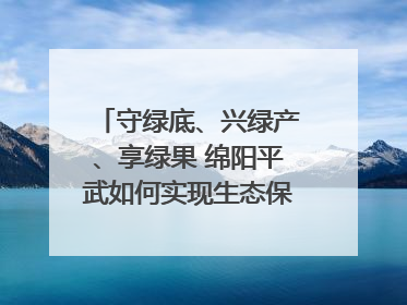守绿底、兴绿产、享绿果 绵阳平武如何实现生态保护与经济发展双赢？｜新闻发布最前线·深一度