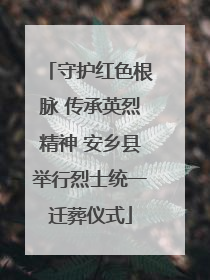 守护红色根脉 传承英烈精神 安乡县举行烈士统一迁葬仪式