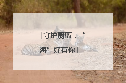 守护蔚蓝，“海”好有你