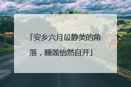 安乡六月最静美的角落，睡莲怡然自开