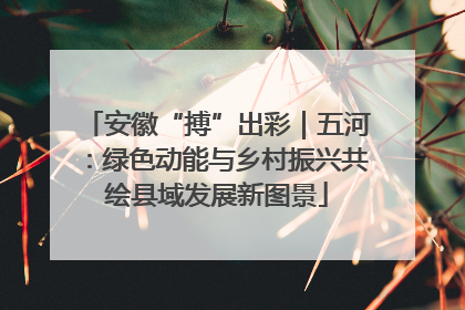 安徽“搏”出彩｜五河：绿色动能与乡村振兴共绘县域发展新图景