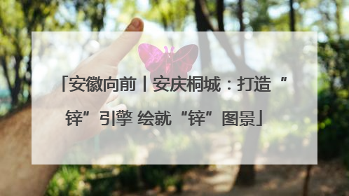 安徽向前丨安庆桐城：打造“锌”引擎 绘就“锌”图景