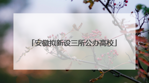 安徽拟新设三所公办高校