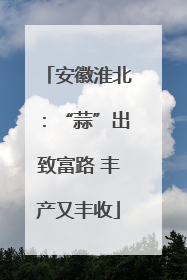 安徽淮北：“蒜”出致富路 丰产又丰收