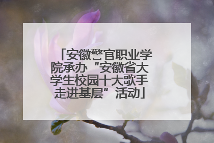 安徽警官职业学院承办“安徽省大学生校园十大歌手走进基层”活动