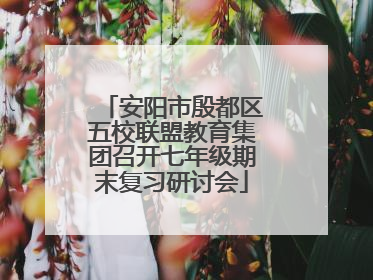 安阳市殷都区五校联盟教育集团召开七年级期末复习研讨会