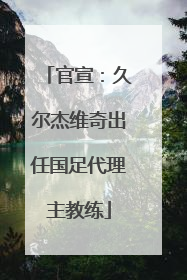 官宣：久尔杰维奇出任国足代理主教练