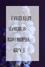 宜章县莽山瑶族乡：粽叶糍粑庆端午