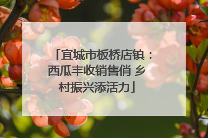 宜城市板桥店镇：西瓜丰收销售俏 乡村振兴添活力