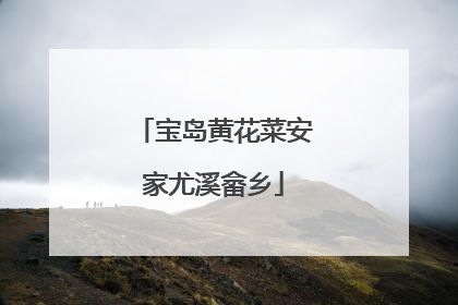 宝岛黄花菜安家尤溪畲乡