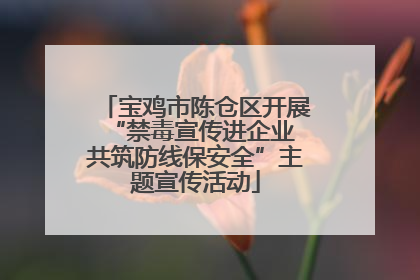 宝鸡市陈仓区开展“禁毒宣传进企业 共筑防线保安全”主题宣传活动