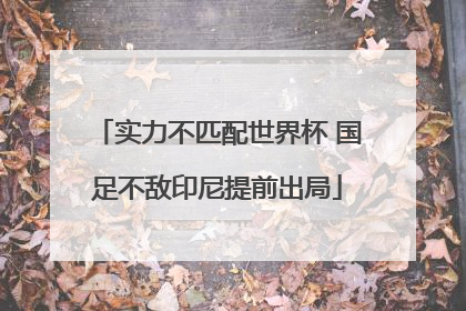 实力不匹配世界杯 国足不敌印尼提前出局