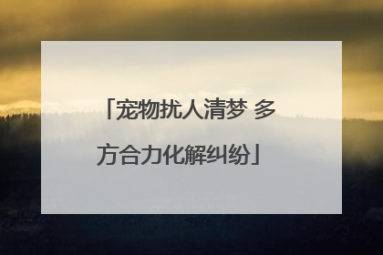 宠物扰人清梦 多方合力化解纠纷