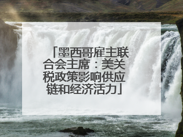 墨西哥雇主联合会主席：美关税政策影响供应链和经济活力