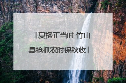 夏播正当时 竹山县抢抓农时保秋收