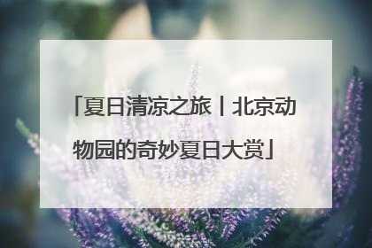夏日清凉之旅丨北京动物园的奇妙夏日大赏