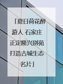 夏日荷花醉游人 石家庄正定隆兴别苑打造古城生态名片