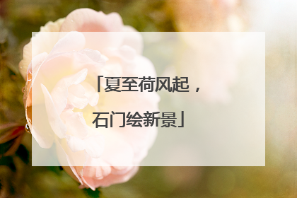 夏至荷风起，石门绘新景