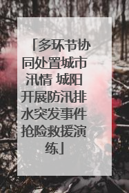 多环节协同处置城市汛情 城阳开展防汛排水突发事件抢险救援演练