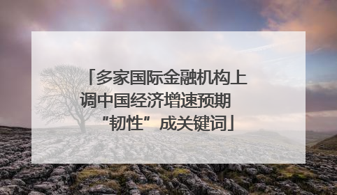 多家国际金融机构上调中国经济增速预期 “韧性”成关键词