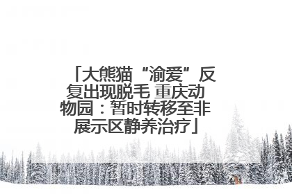 大熊猫“渝爱”反复出现脱毛 重庆动物园：暂时转移至非展示区静养治疗