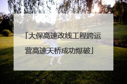 大保高速改线工程跨运营高速天桥成功爆破