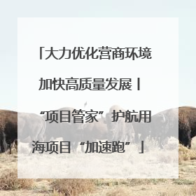 大力优化营商环境 加快高质量发展丨“项目管家”护航用海项目“加速跑”