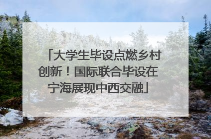 大学生毕设点燃乡村创新！国际联合毕设在宁海展现中西交融