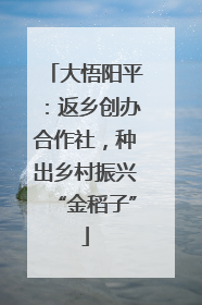 大悟阳平：返乡创办合作社，种出乡村振兴“金稻子”