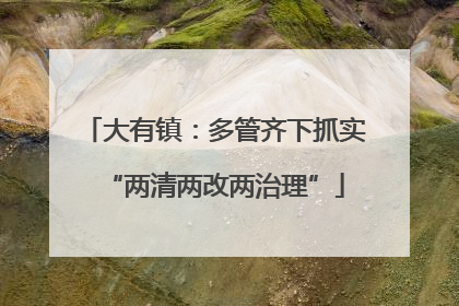 大有镇：多管齐下抓实“两清两改两治理”