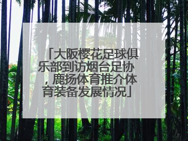 大阪樱花足球俱乐部到访烟台足协，鹿扬体育推介体育装备发展情况