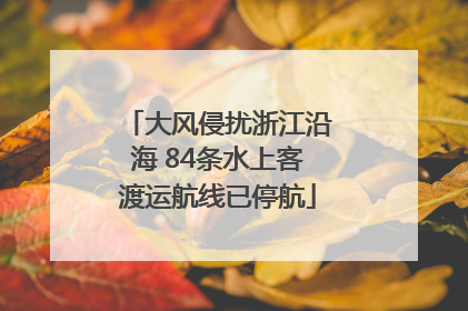 大风侵扰浙江沿海 84条水上客渡运航线已停航