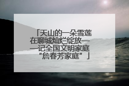 天山的一朵雪莲在聊城灿烂绽放——记全国文明家庭“詹春芳家庭”