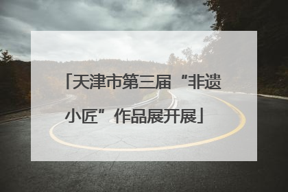 天津市第三届“非遗小匠”作品展开展