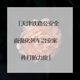 天津铁路公安全面强化列车治安案件打防力度