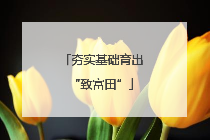 夯实基础育出“致富田”