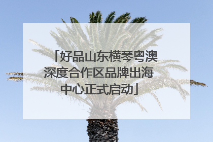 好品山东横琴粤澳深度合作区品牌出海中心正式启动