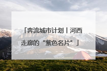 奔流城市计划丨河西走廊的“紫色名片”