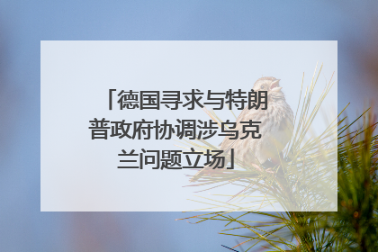 德国寻求与特朗普政府协调涉乌克兰问题立场