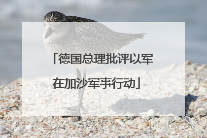 德国总理批评以军在加沙军事行动