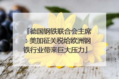 德国钢铁联合会主席：美加征关税给欧洲钢铁行业带来巨大压力