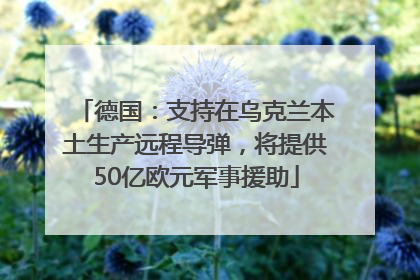 德国：支持在乌克兰本土生产远程导弹，将提供50亿欧元军事援助