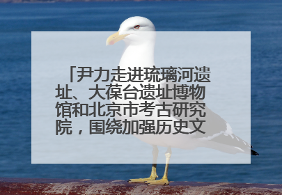 尹力走进琉璃河遗址、大葆台遗址博物馆和北京市考古研究院，围绕加强历史文化名城保护调研