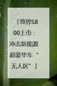 尊界S800上市：冲击新能源超豪华车“无人区”