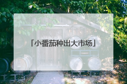 小番茄种出大市场