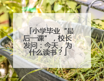 小学毕业“最后一课”，校长发问：今天，为什么读书？